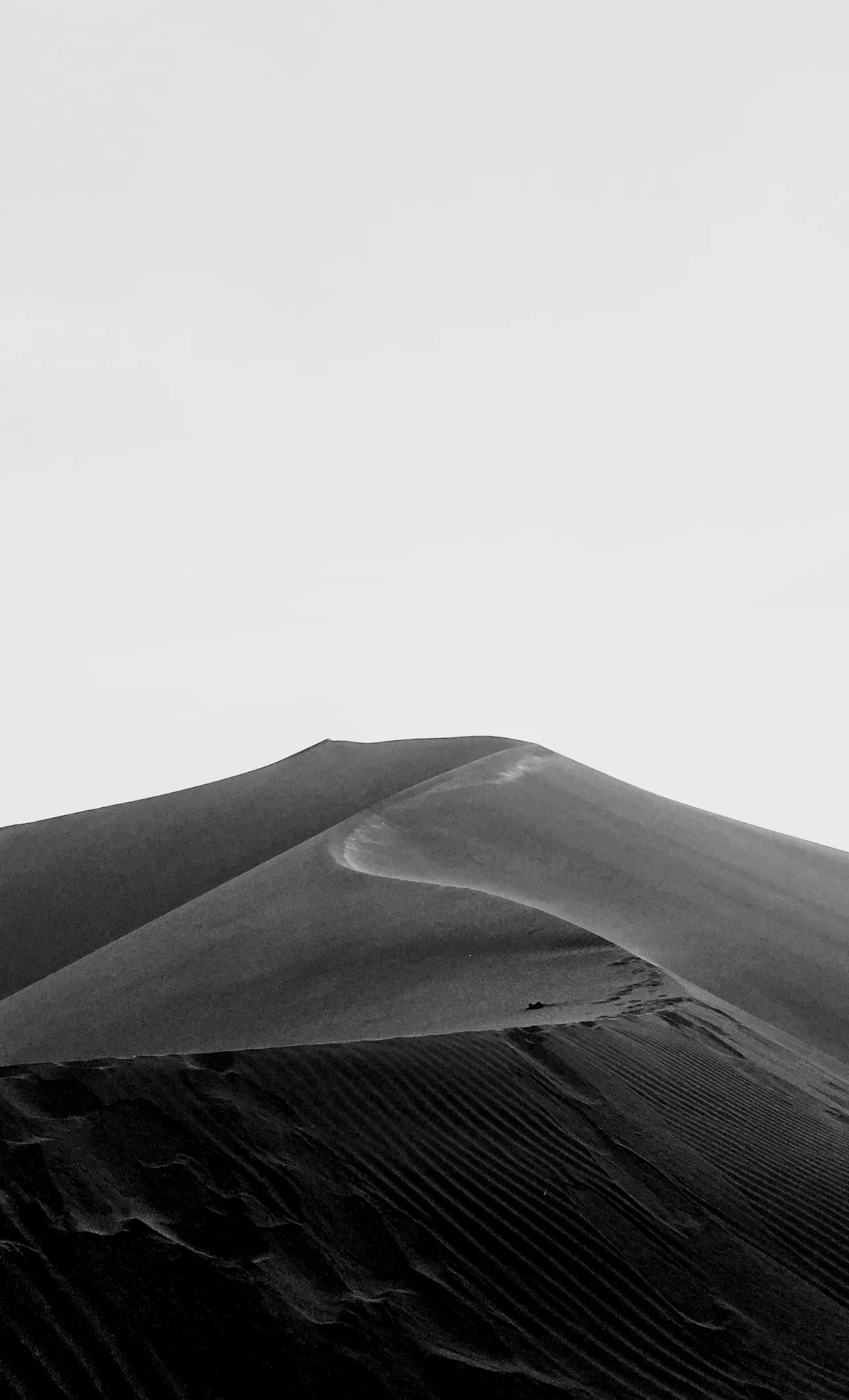 A dark sand dune under a white sky