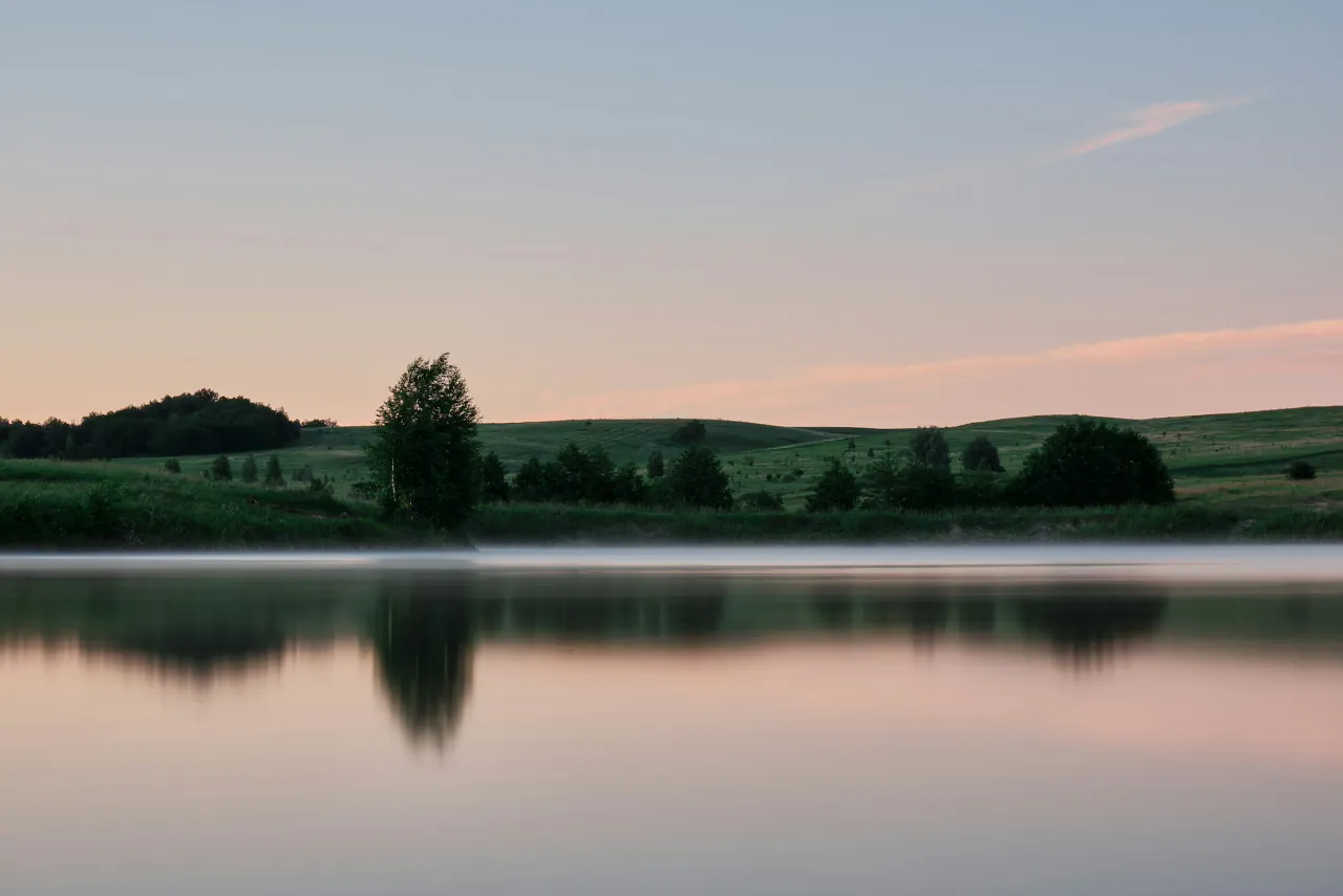 A line of trees reflected in a still lake at dusk